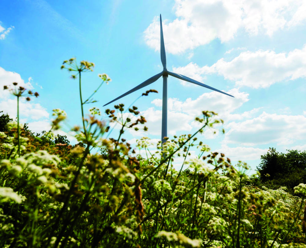 Photo d'une éolienne du parc Saint Michel Chef Chef - nature fleur