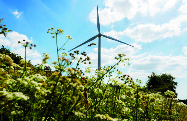 Photo d'une éolienne du parc Saint Michel Chef Chef - nature fleur