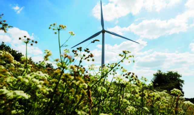 Photo d'une éolienne du parc Saint Michel Chef Chef - nature fleur