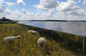 Valorem agriculture et énergies renouvelables